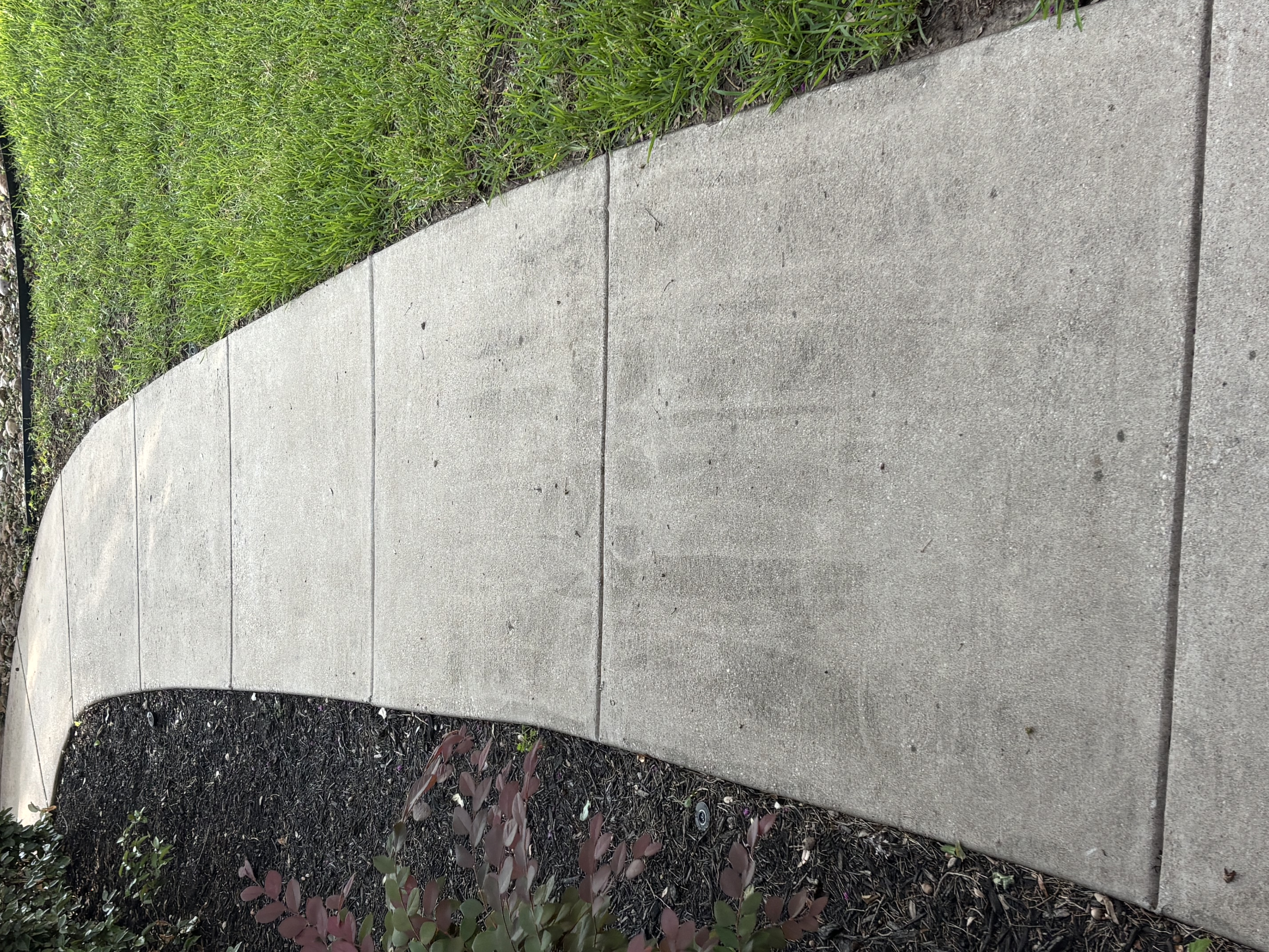 Surface detail before
